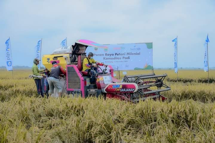 Petani Milenial Karawang Rayakan Panen Raya | Fakta Jabar