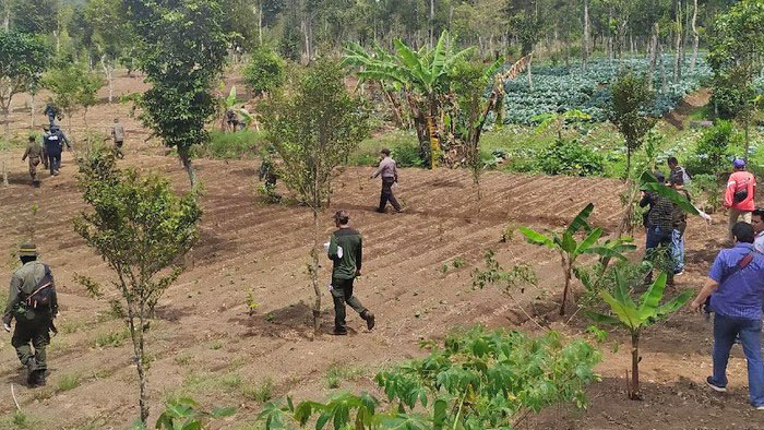 Ratusan Hektare Cagar Alam di Garut Beralih Fungsi  Jadi 